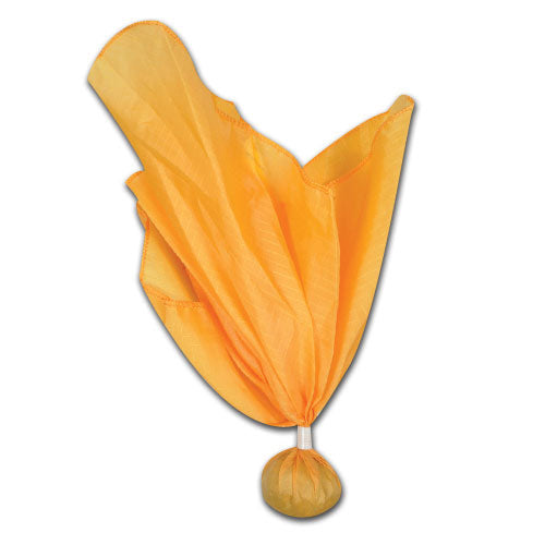 Weighted Referee Penalty Flag; Gold Ball
