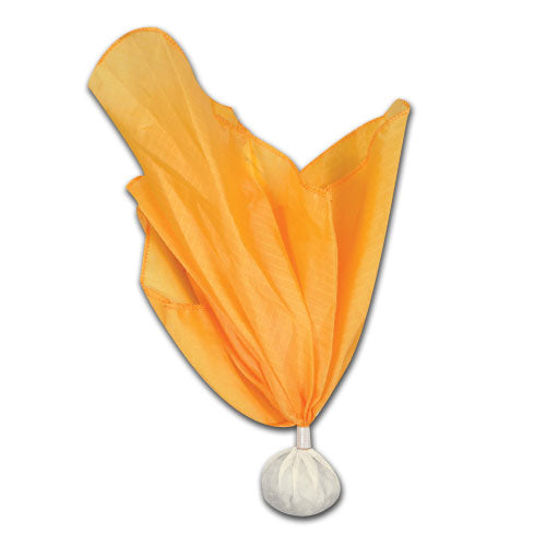 Weighted Referee Penalty Flag; White Ball